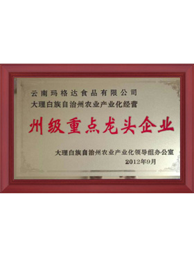 州級重點(diǎn)龍頭企業(yè)